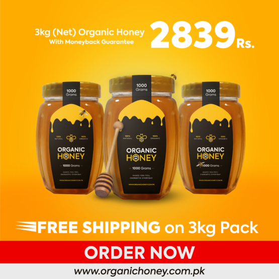 3kg Organic honey